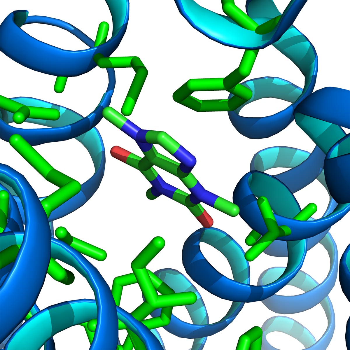 Novel ligand-bound GPCR structures